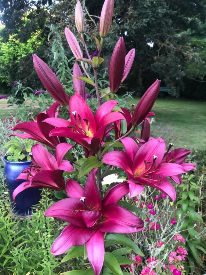 Newlands Bed And Breakfast West Melton Экстерьер фото